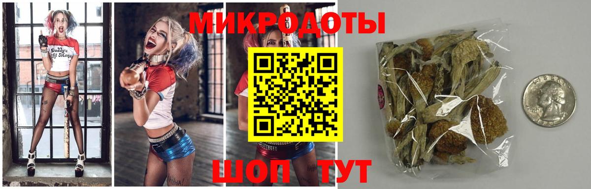 Псилоцибиновые грибы MAGIC MUSHROOMS Добрянка